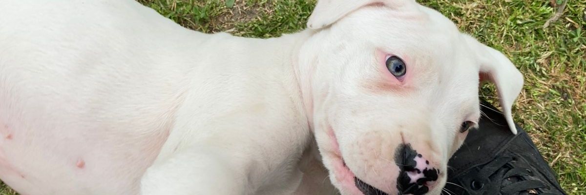 SolMartinezLA12's profile banner image