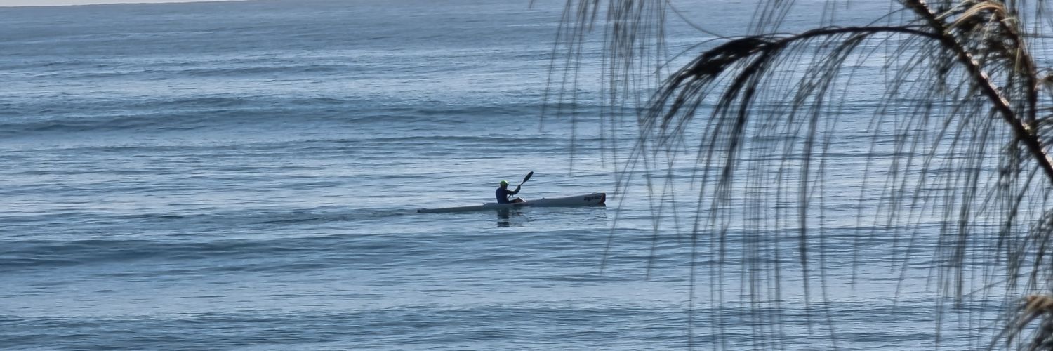 Adam Stephensen banner