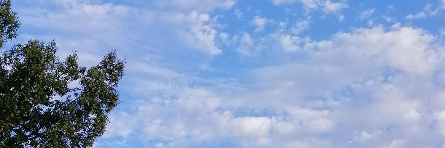 أسمـاء✨ banner