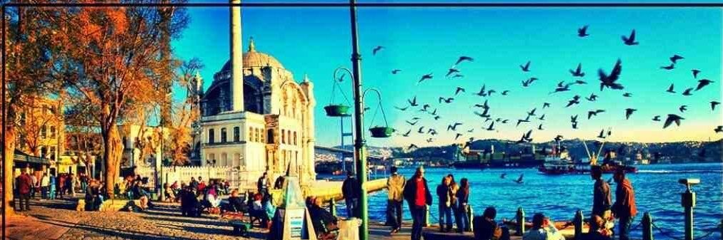 IlyasCellik's profile banner image