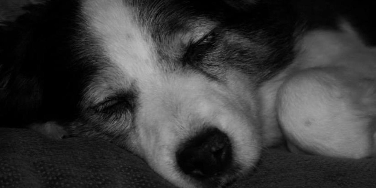 JoeKillner's profile banner image