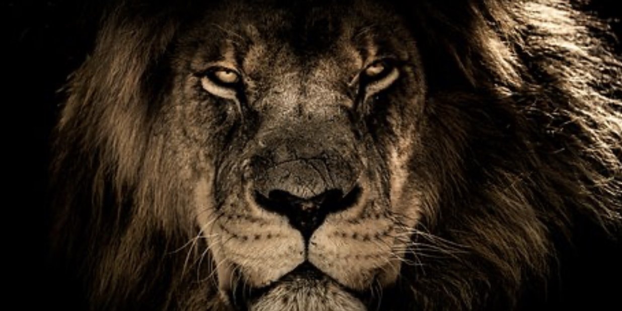 ericglewis's profile banner image
