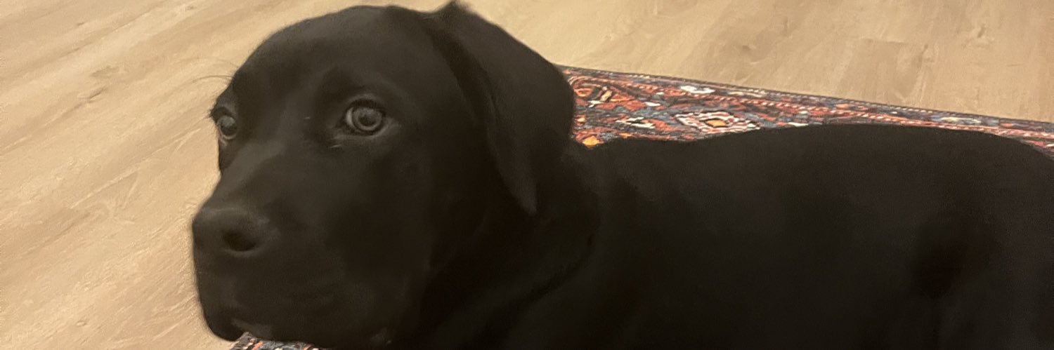 Sinem Göksel banner