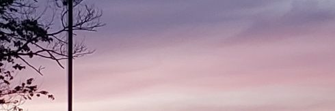 Carriethegr8's profile banner image
