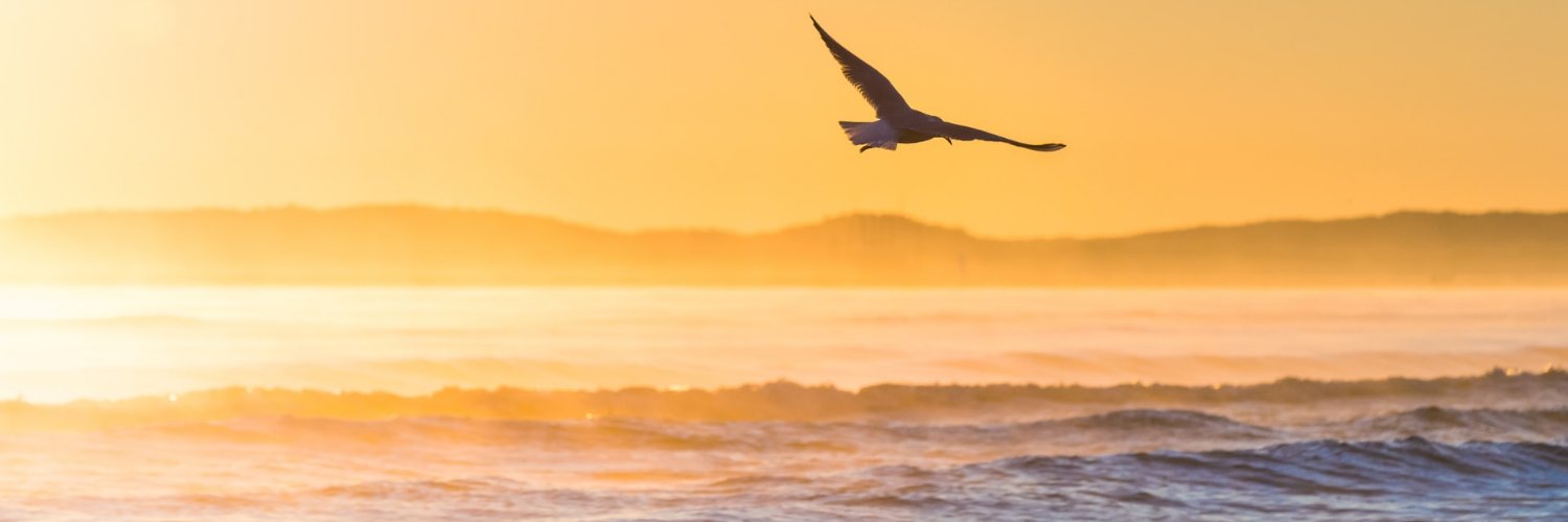 OurRedEagle's profile banner image