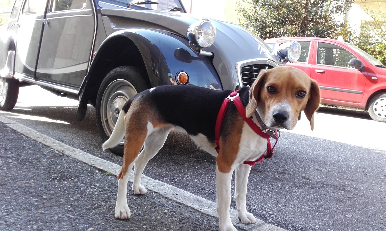 Watson2cv's profile banner image