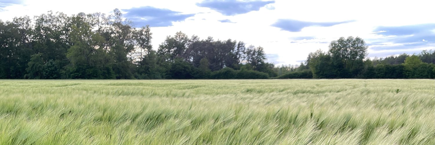 patatezenn's profile banner image
