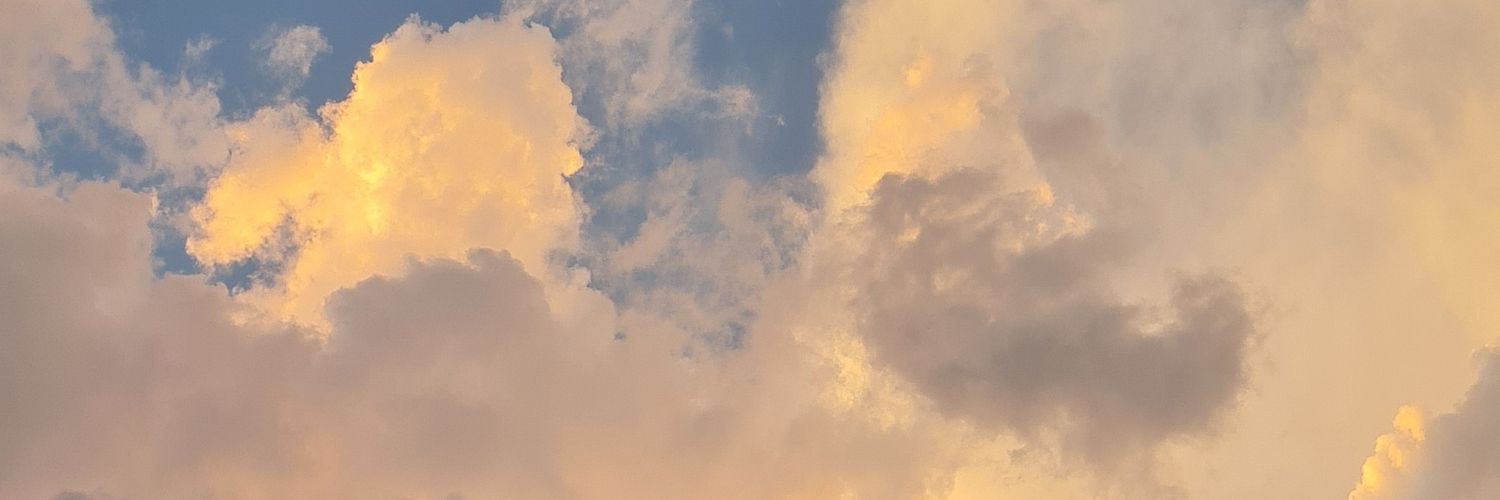 sars0110's profile banner image