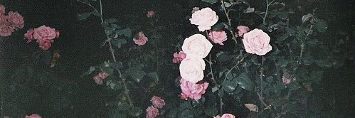 BTS_salan's profile banner image