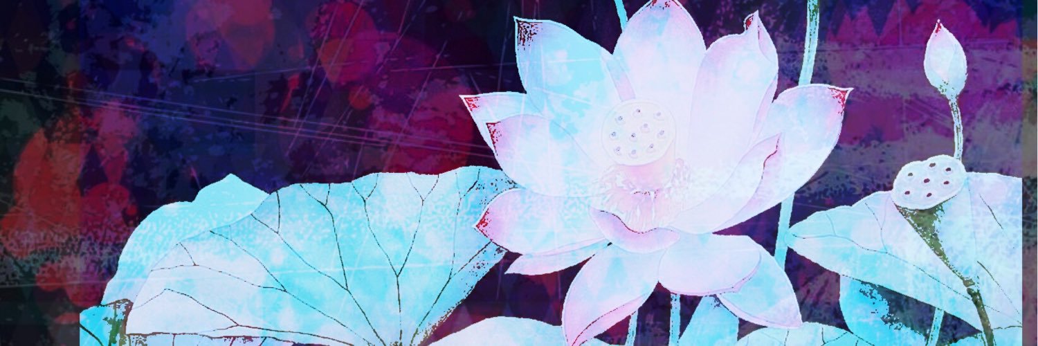 bflyconsulting's profile banner image