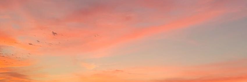 Nancy Kalyn Carles banner
