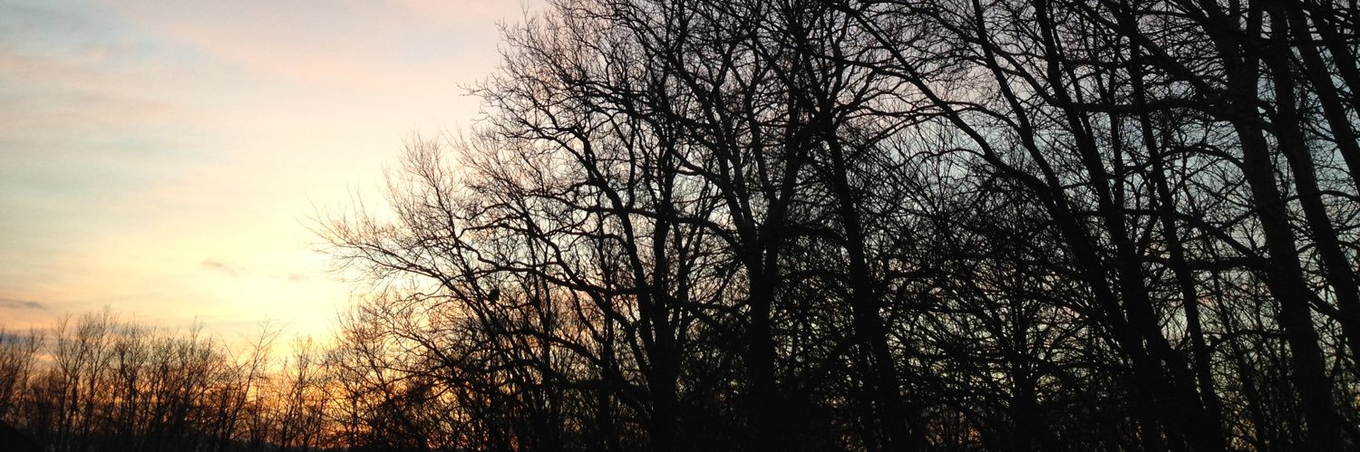 Shockley ❎🅿️🍄 banner