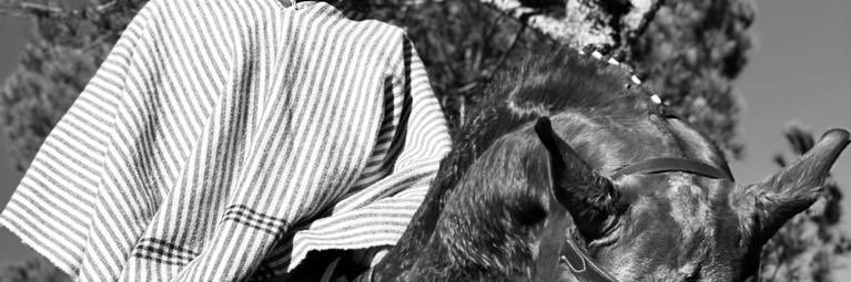 asegovia456's profile banner image