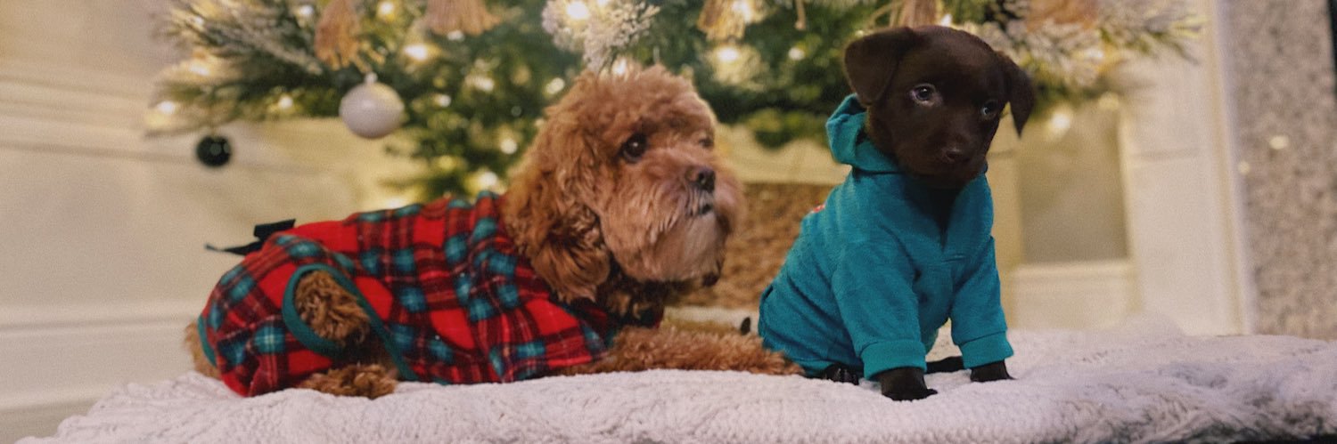 kaylee madison ✿ banner