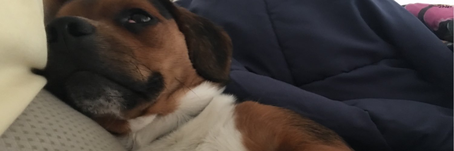 rae_chelll's profile banner image