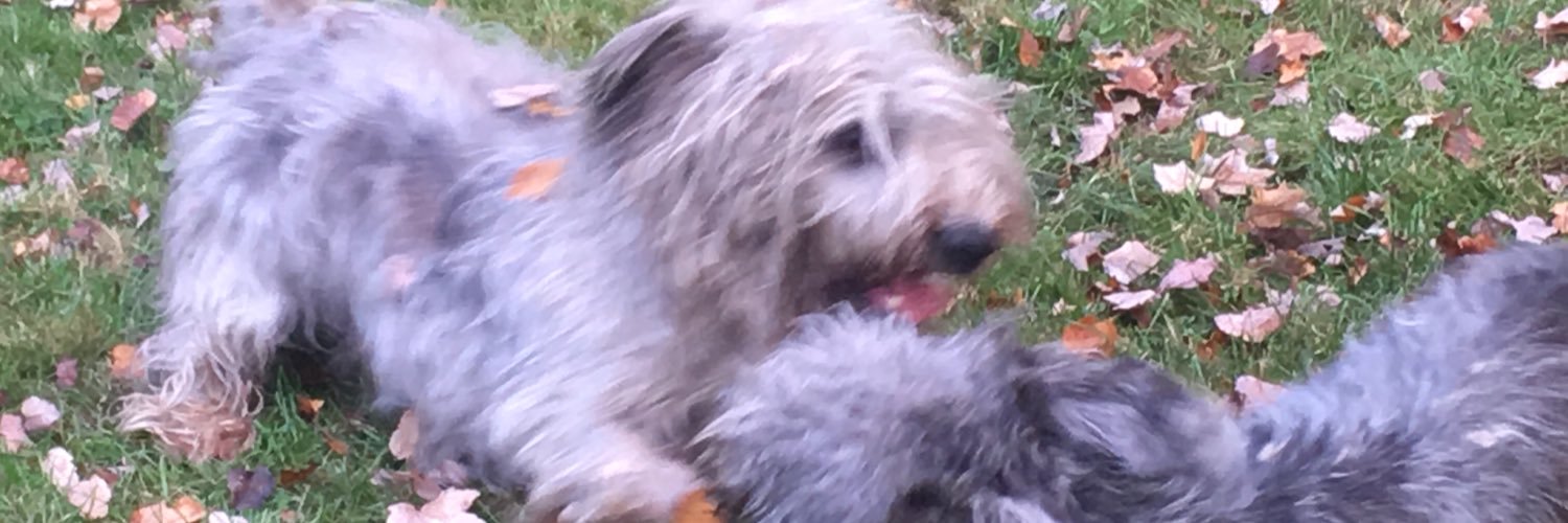 RickMcK63's profile banner image