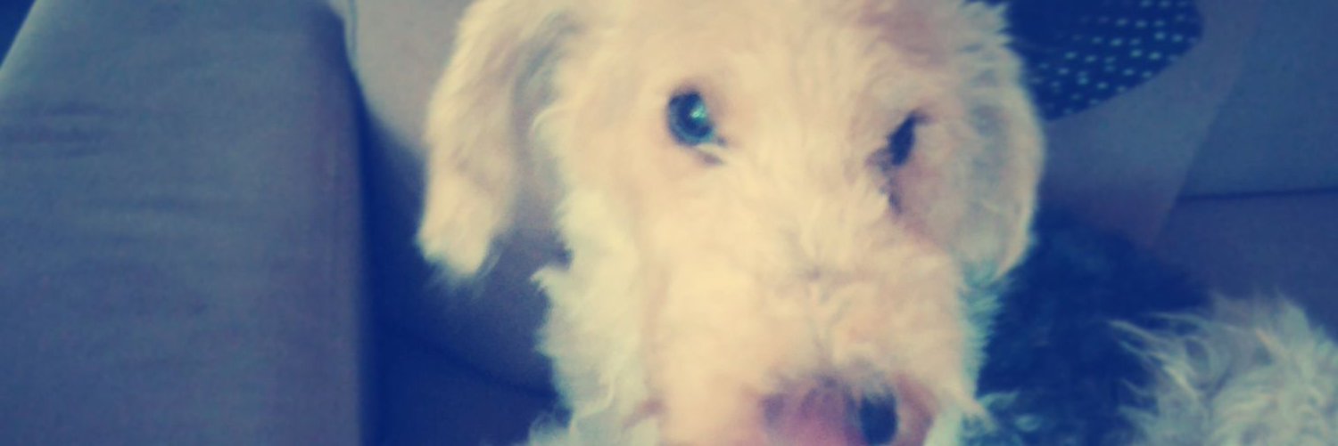 jolineneumann1's profile banner image