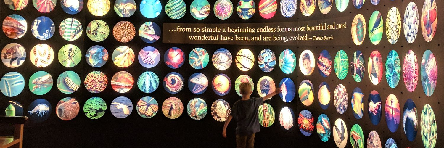 Melissa Houston banner