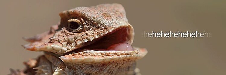 Travis Reilly banner