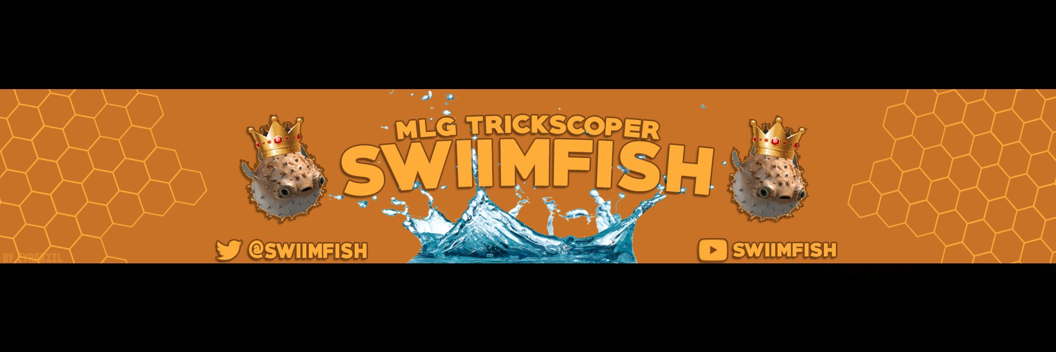 SwiimFish's profile banner image
