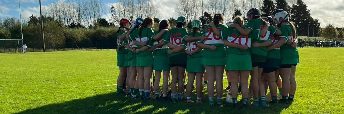 Susan Williams banner