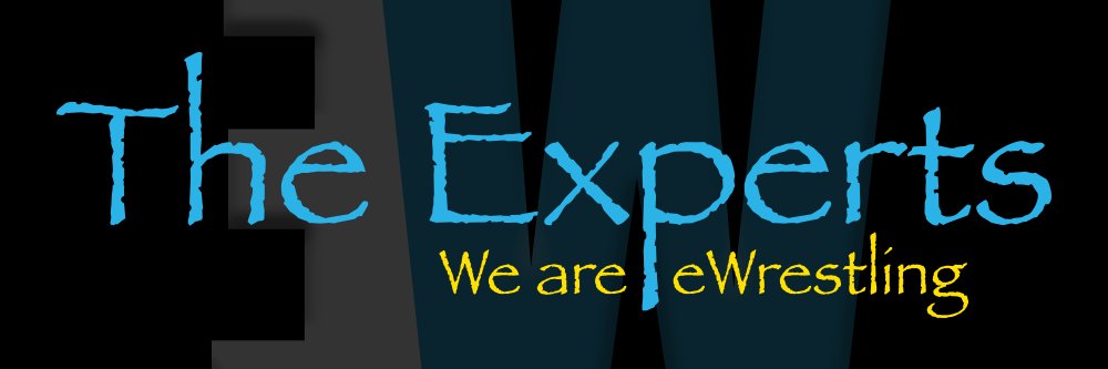 The Experts banner