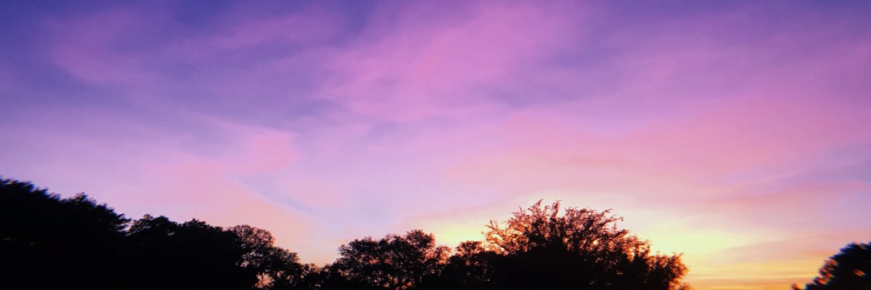 emmaabroussard's profile banner image