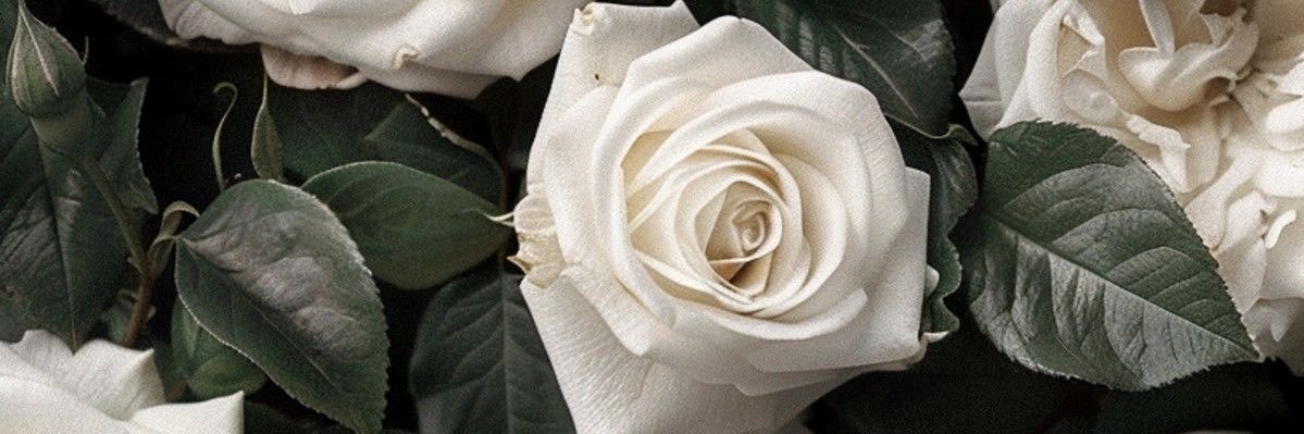 lysssleigh's profile banner image