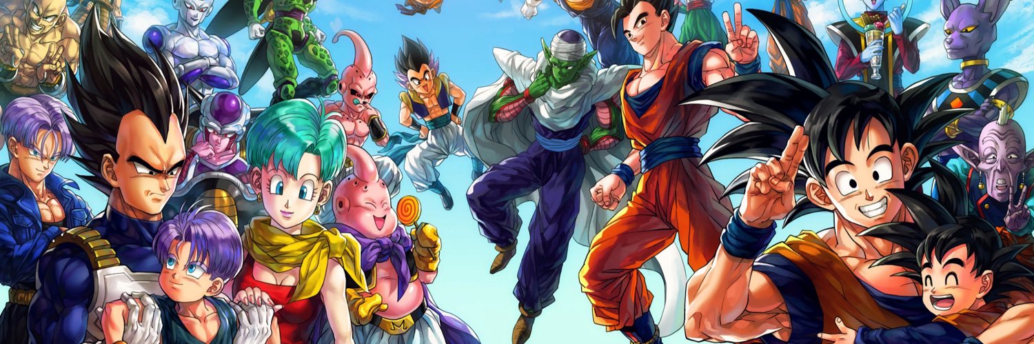 Skater banner