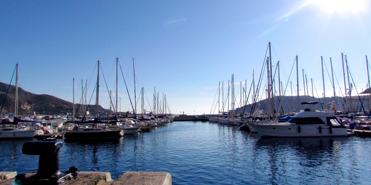 Vanessa Chavez banner