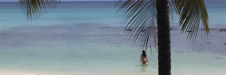 lolyaguzzi's profile banner image