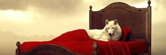 TheWolfnRed's profile banner image