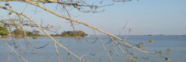 catalinaescobar Profile Banner