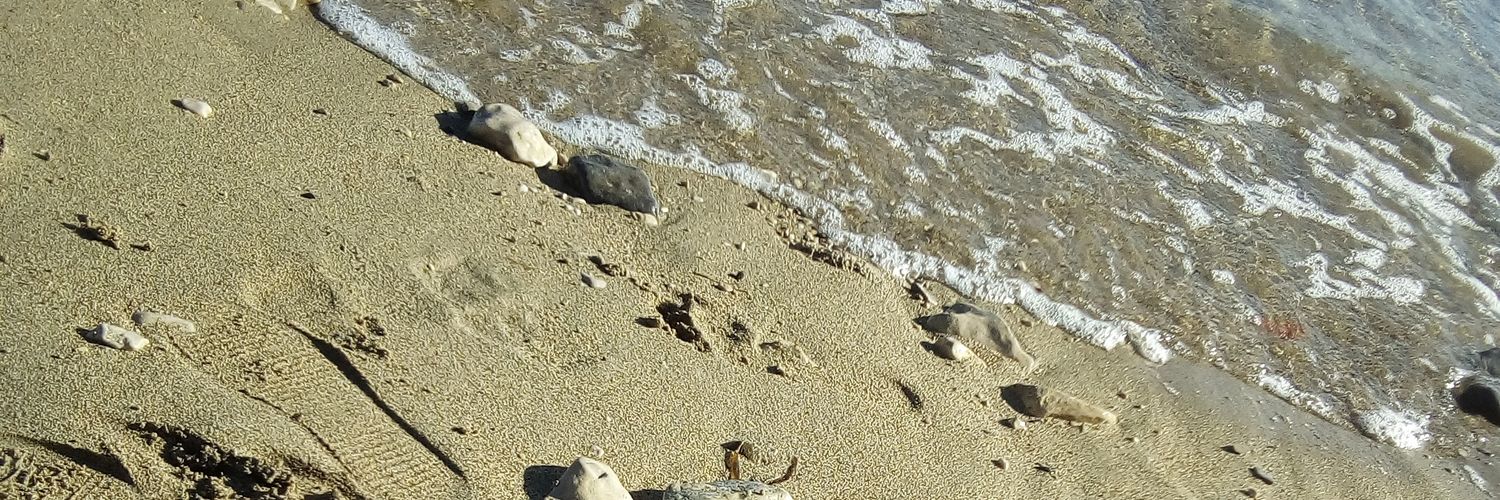 OrlicDina's profile banner image