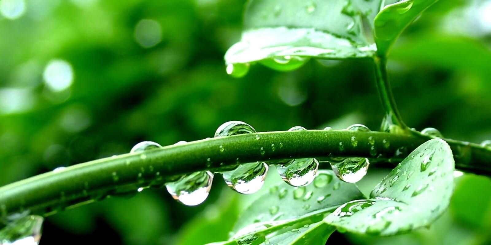 Goutham_197's profile banner image