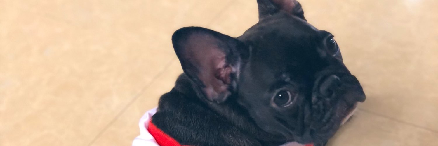 haideehere's profile banner image