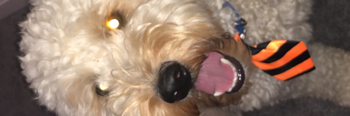 baileyyoung53's profile banner image