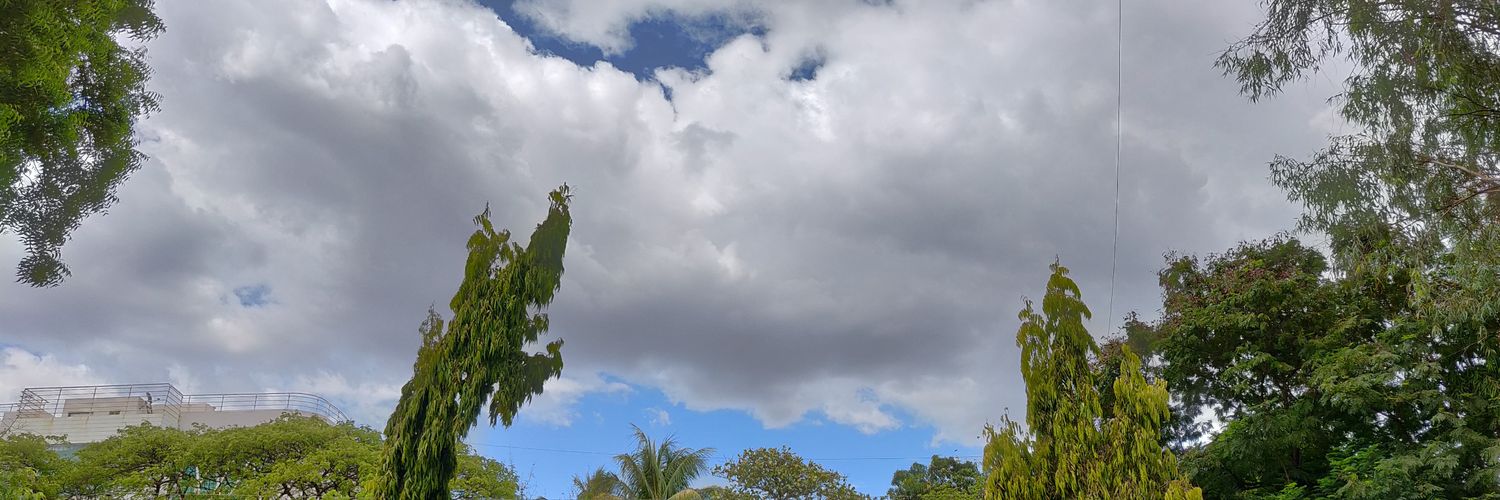 N2009V's profile banner image