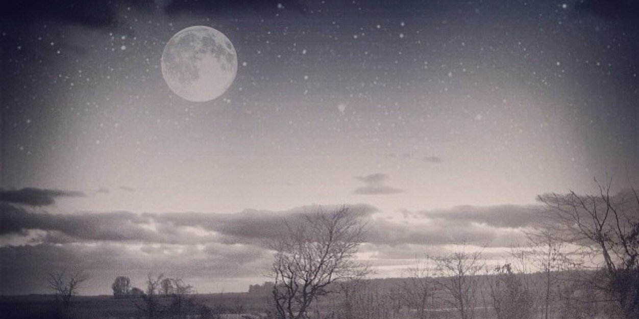 Taghreed_Tw's profile banner image