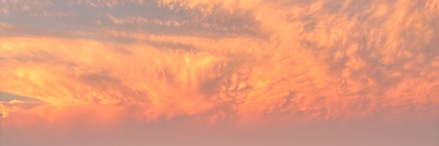aynotayni's profile banner image