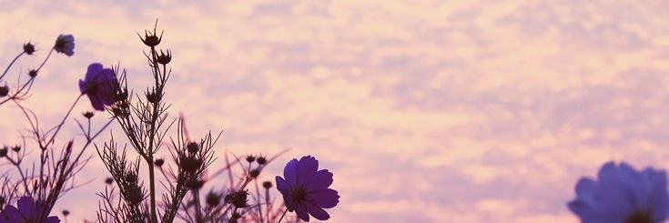 moniquaaaa_'s profile banner image