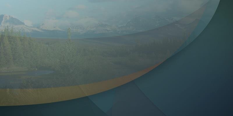 Kim Posey banner