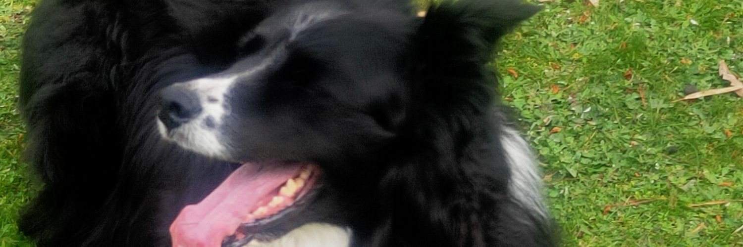 Ronx1's profile banner image