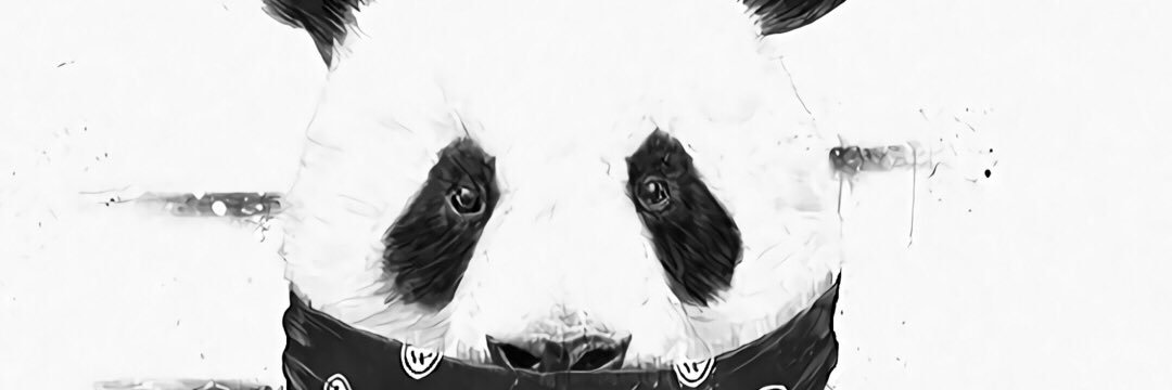 Sebastian Castro banner