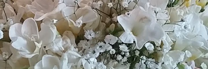 Haticeileri4's profile banner image