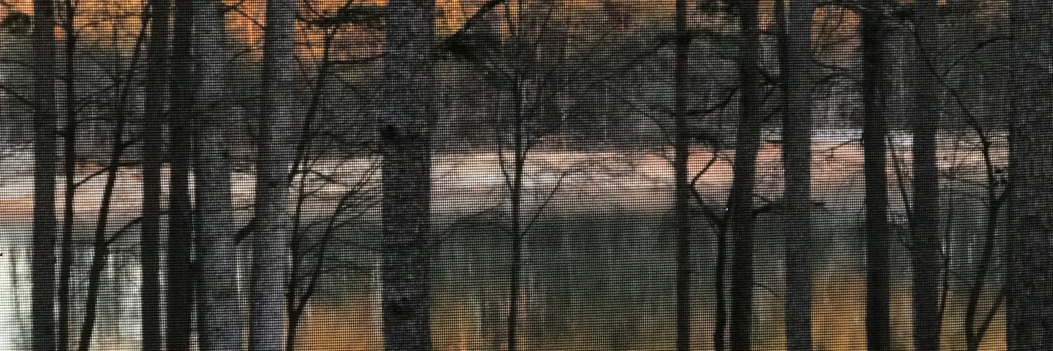 SandraSamElam's profile banner image