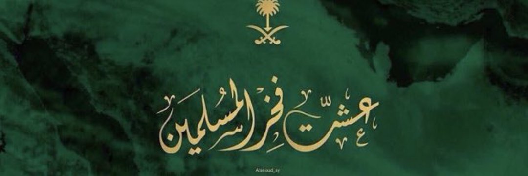 alyasinam's profile banner image