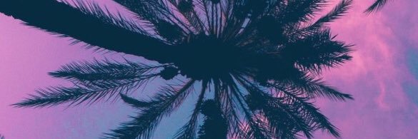 annee1205's profile banner image