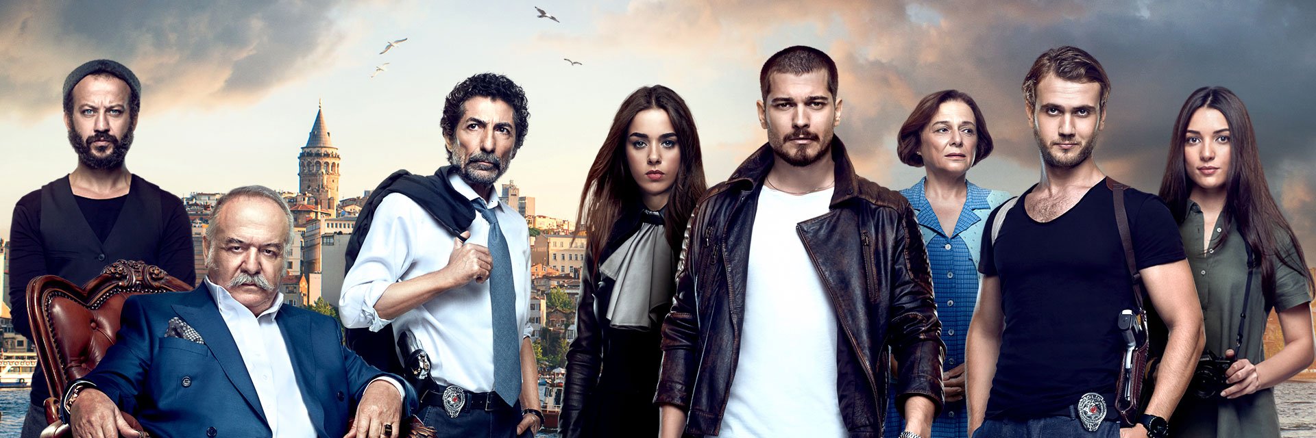 icerdeChile's profile banner image