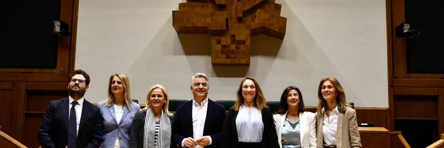 Parlamento Vasco PP banner